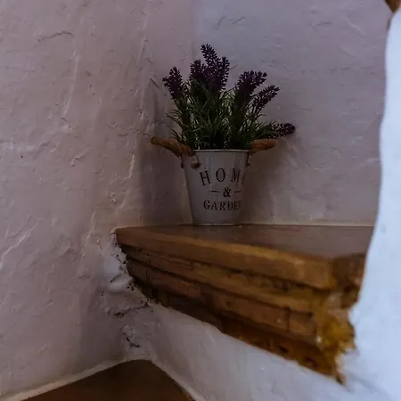 Casa Tato * Figuerola d'Orcau